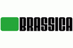 Brassica Models