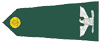 Colonel